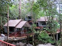 Rock & Treehouse Resort Khao Sok 