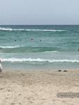 LTI-Mahdia Beach 