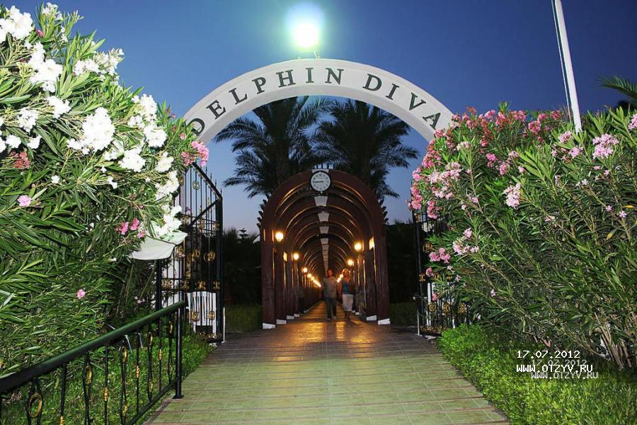 Delphin Diva Premiere