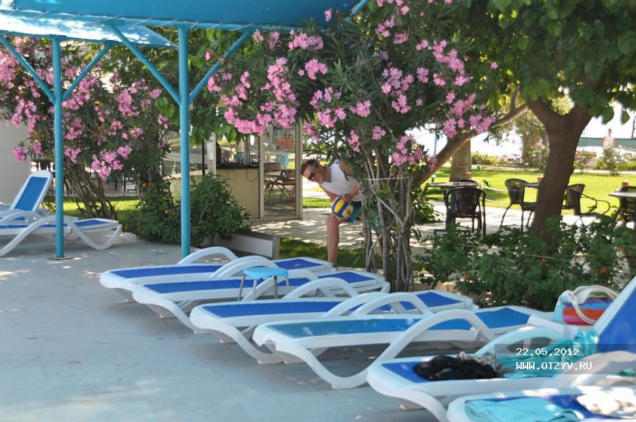 Daima Biz Resort