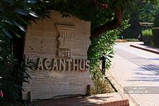 Acanthus & Cennet Barut Collection 