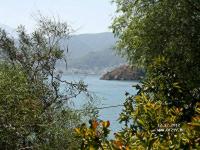 Club & Hotel Letoonia 