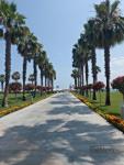 Calista Luxury Resort ����