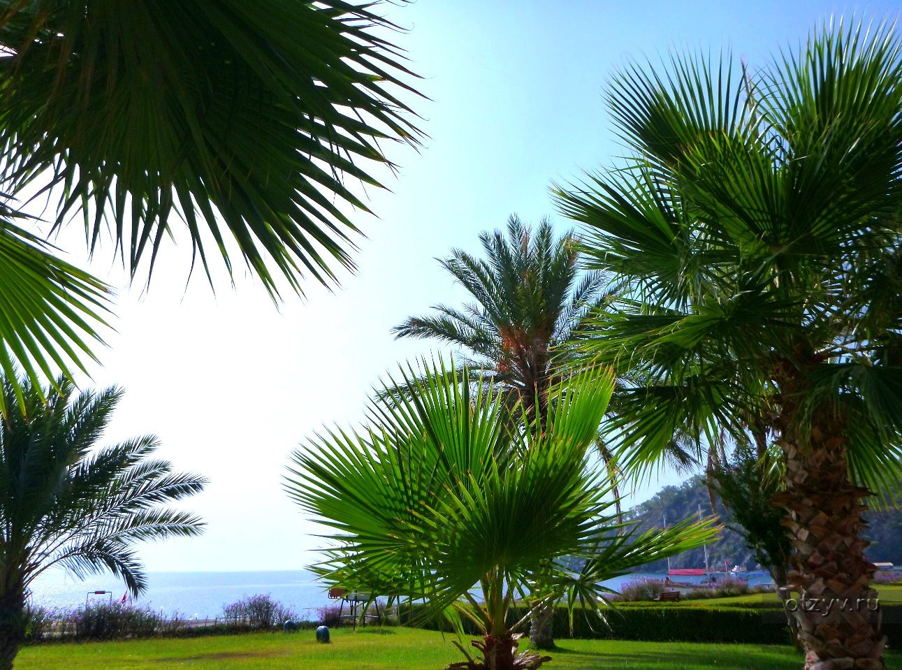 Kilikya Resort Camyuva