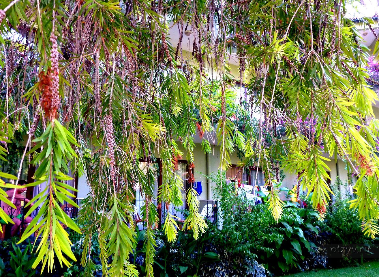 Kilikya Resort Camyuva