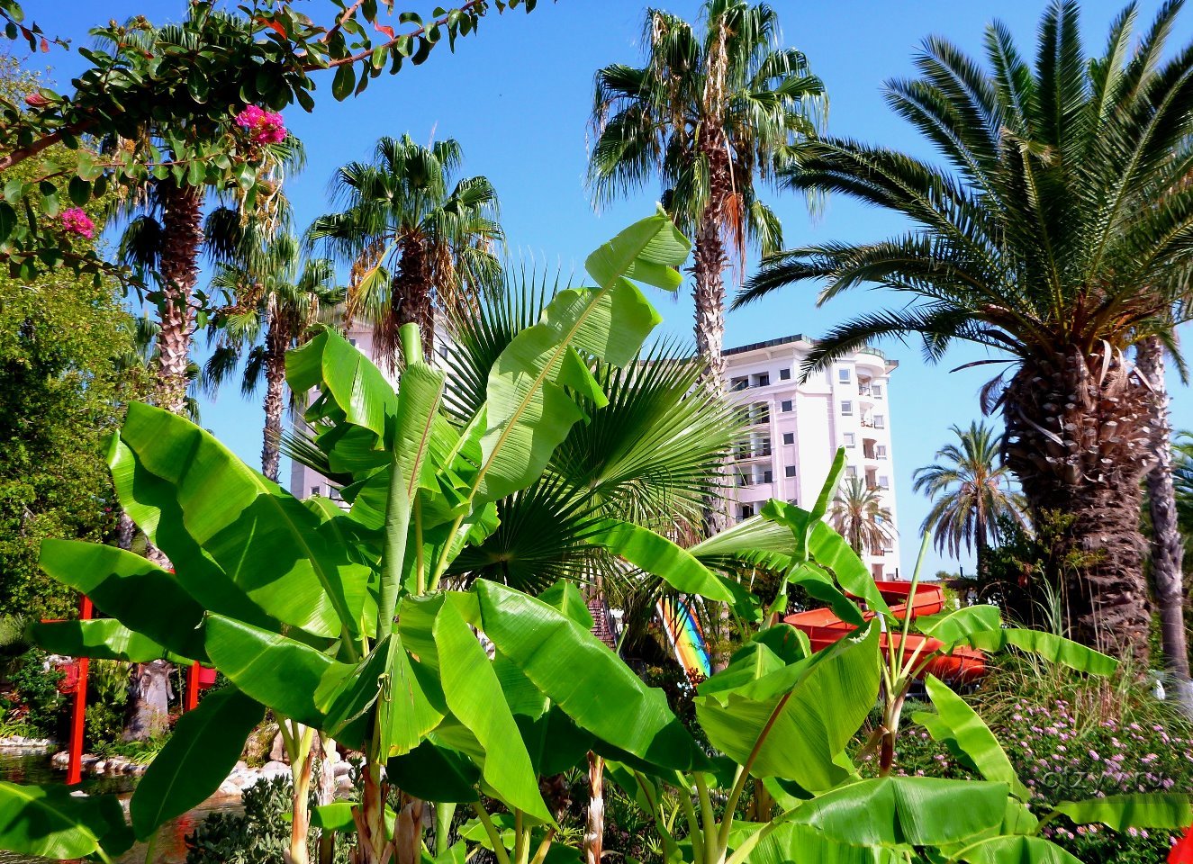 Kilikya Resort Camyuva