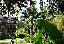 Kilikya Resort Camyuva 