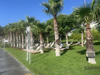 Nirvana Dolce Vita ����