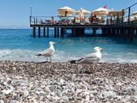 Akra Kemer ����