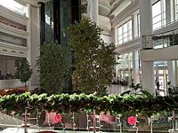 Akra Kemer ����