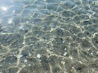 Mirada del Mar ����